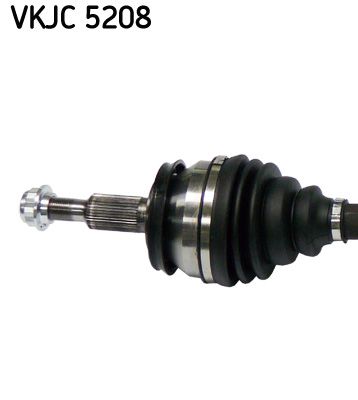 VKJC 5208_2.JPG