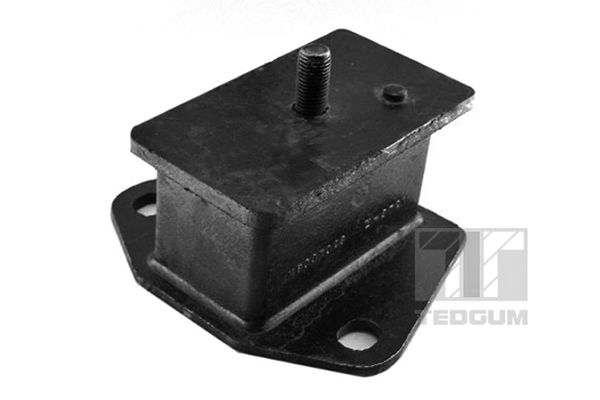 TEDGUM 00441699 Mounting, engine