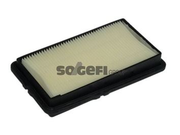 Air Filter A1006