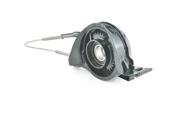 guolis, kardaninio veleno centrinis guolis