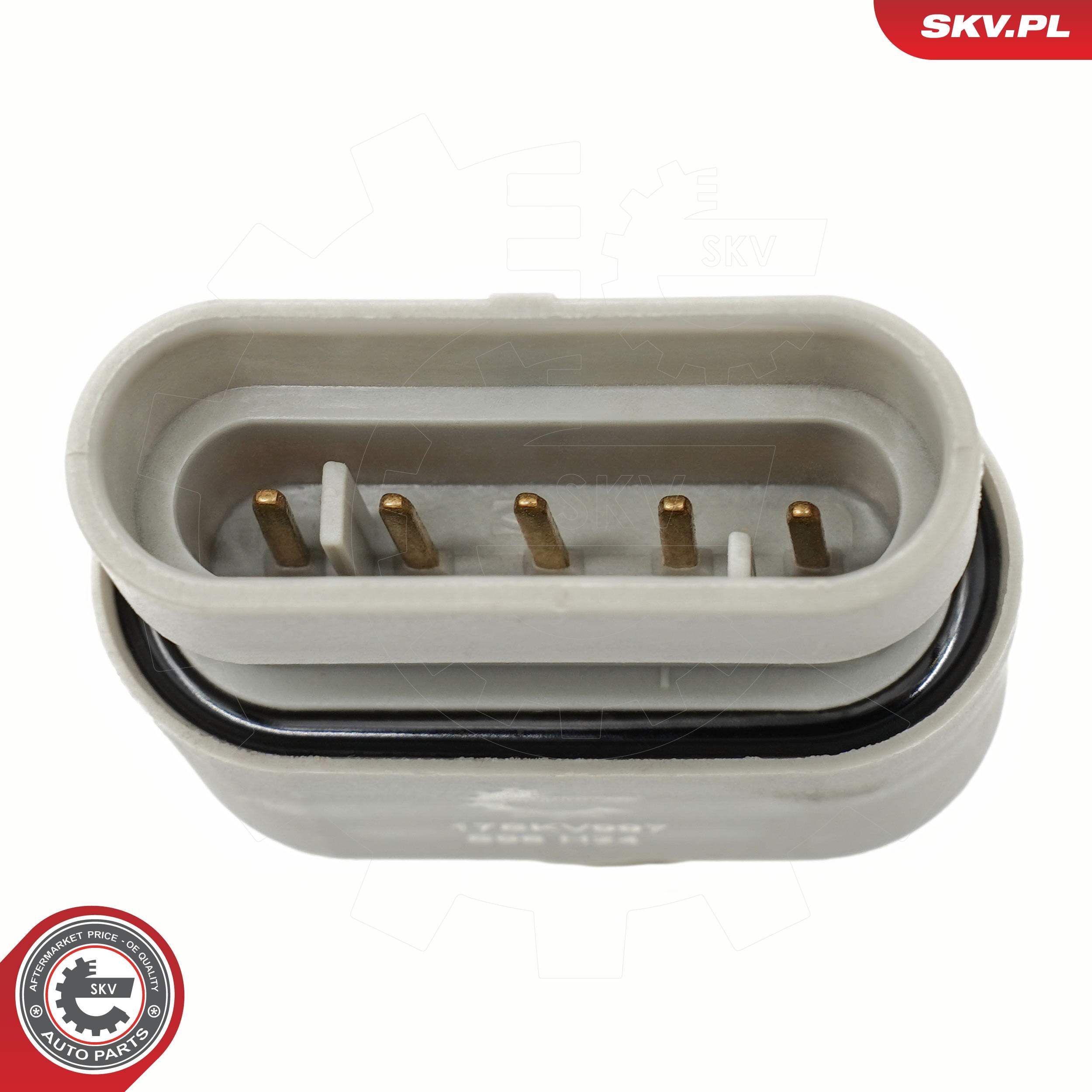 vandens jutiklis, degalų sistema