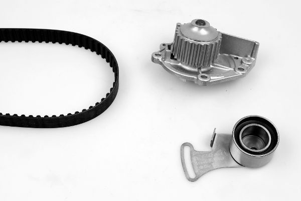 Water Pump & Timing Belt Kit PK00450