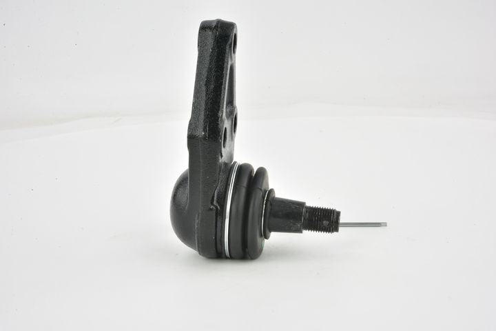 Šarnyras / girgždukas