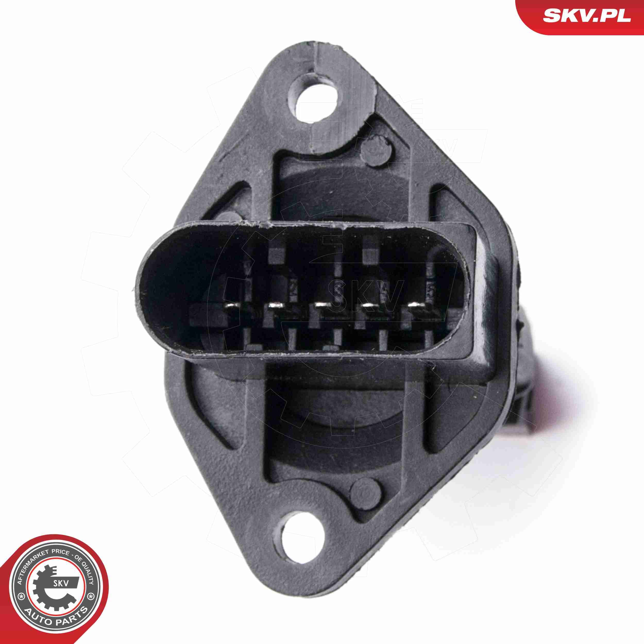 ESEN SKV 07SKV501 - Luftmassenmesser