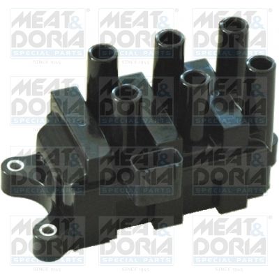 Ignition Coil 10570