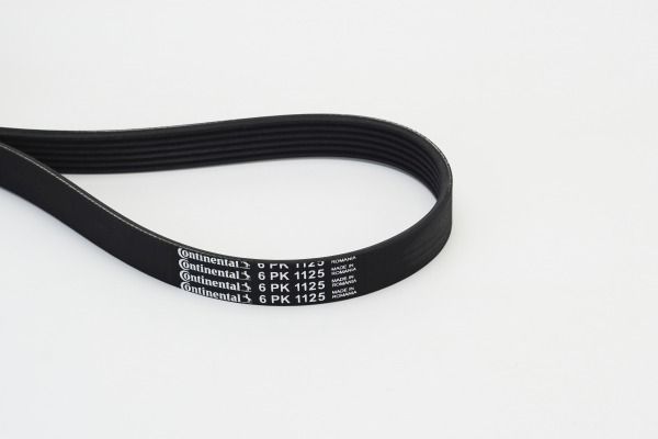 BELTPIC_6PK1125.JPG