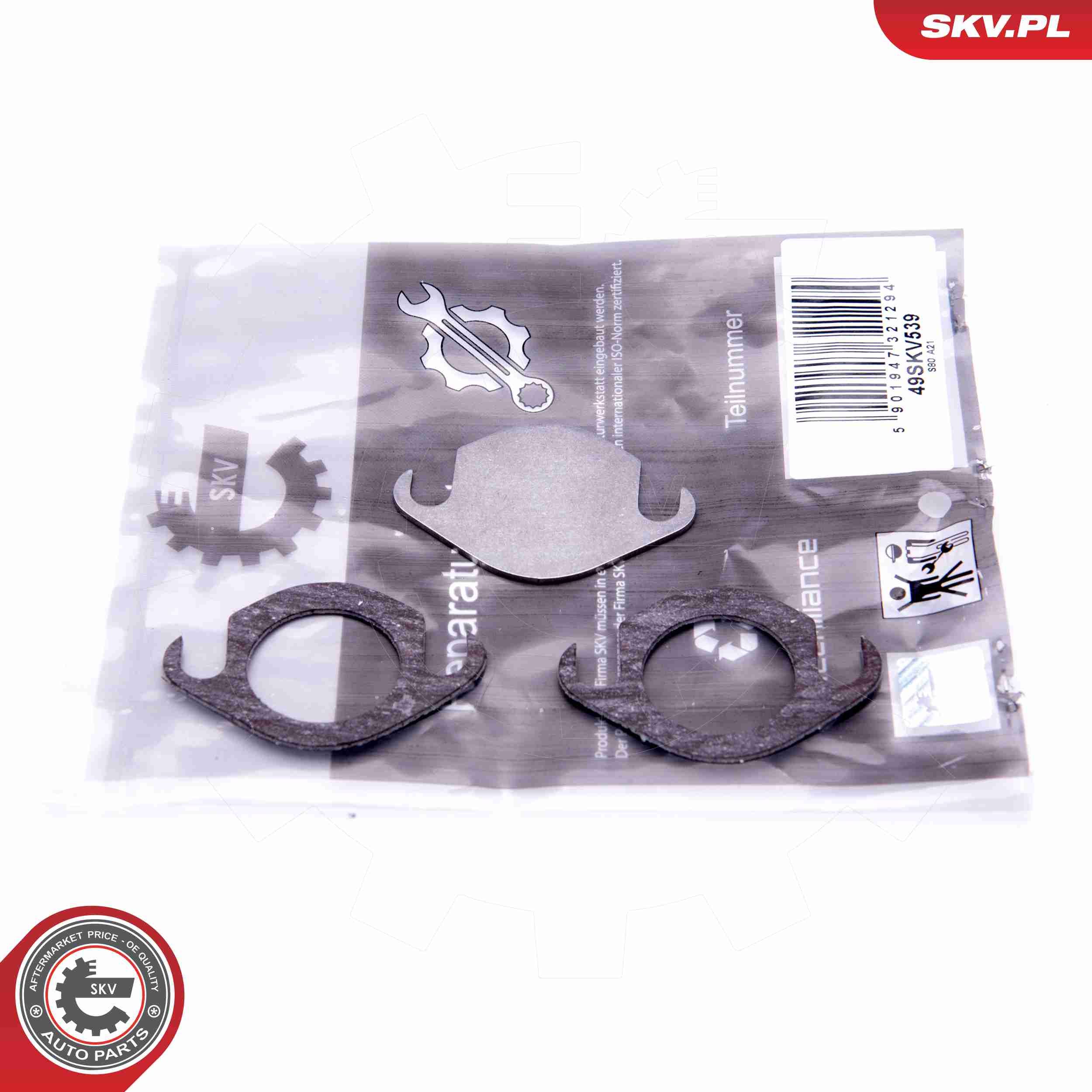 ESEN SKV 14SKV506 - Reparatursatz, AGR-Ventil