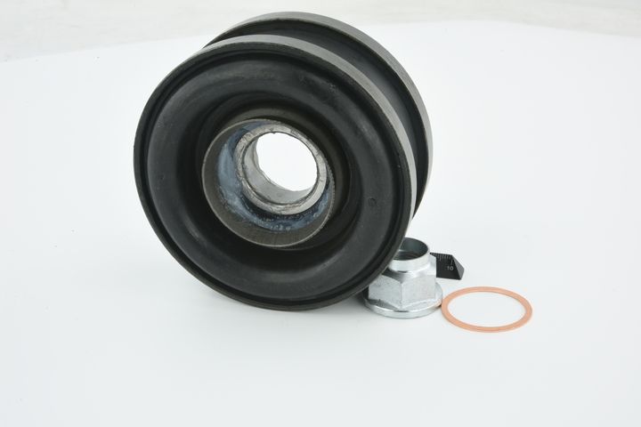 guolis, kardaninio veleno centrinis guolis