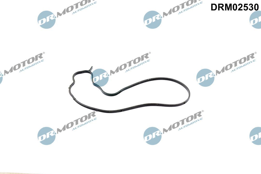 Dichtung, Wasserpumpe