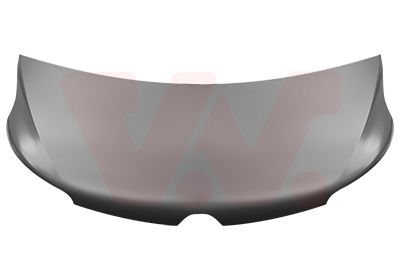 VAN WEZEL 4399660 - Motorhaube