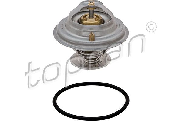 Thermostat, Kühlmittel