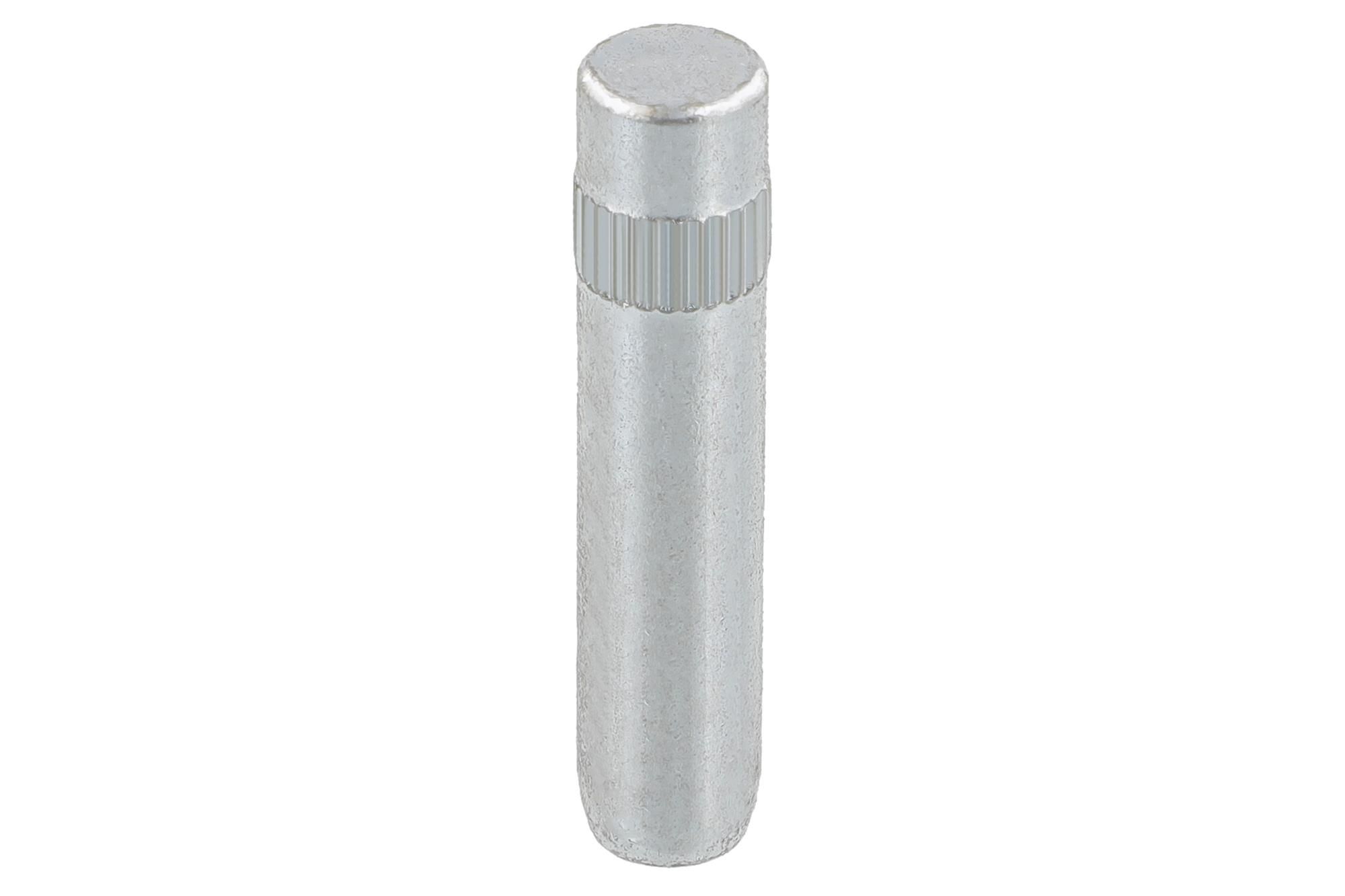 T&uuml;rscharnier