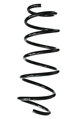 SPIDAN 88243 - Fahrwerksfeder