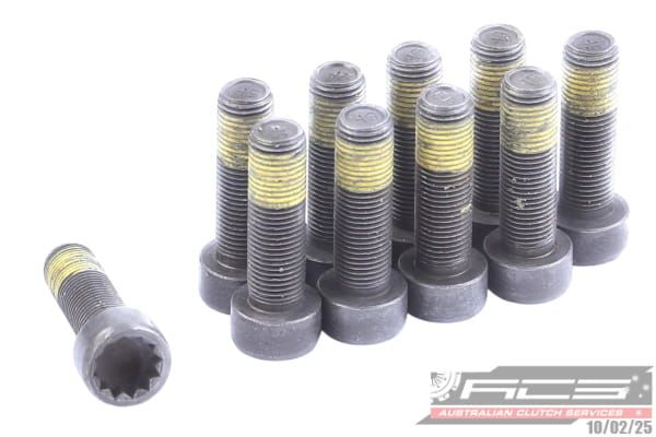 BOLT SET F/W VW 10x1.0x33 (10) 73Nm - TecDoc Only