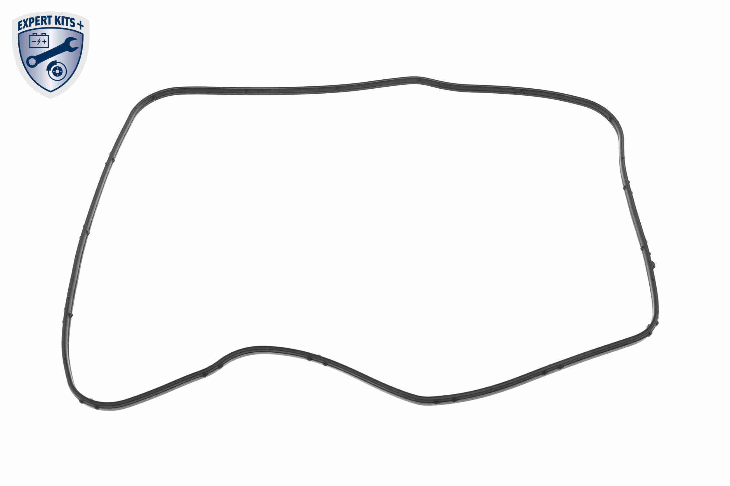 Dichtung, Automatikgetriebe