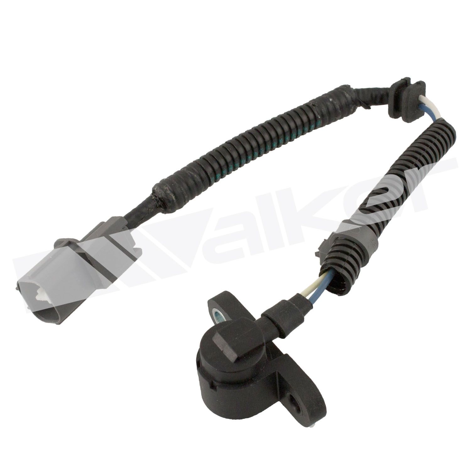 Sensor posición de cigueñal