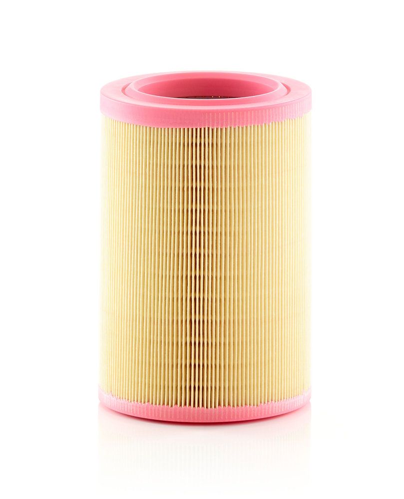 MANN-FILTER C 15 005 - Luftfilter