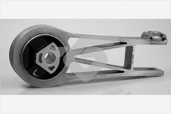 Halter, Motoraufhängung