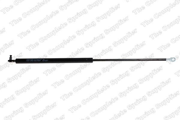 Gasfeder, Koffer-/Laderaum