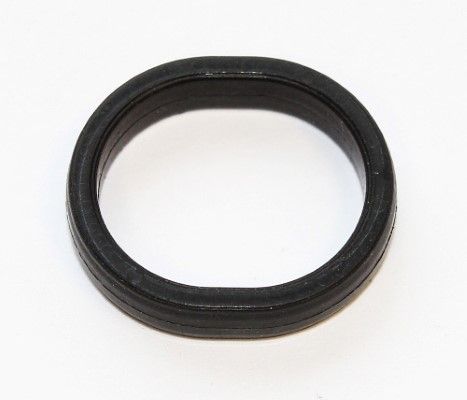 Dichtring