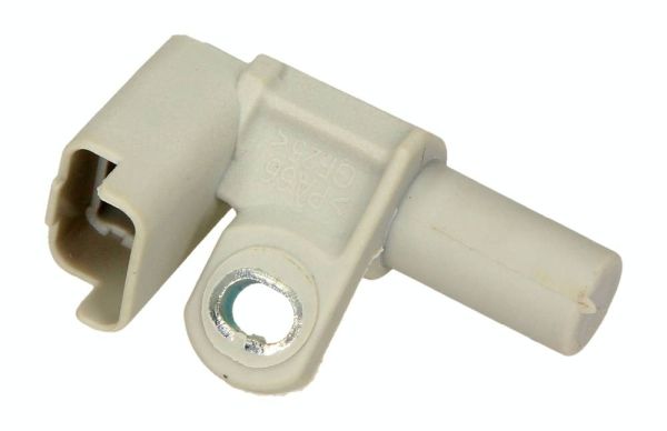 5901619593851_LARGE.JPG