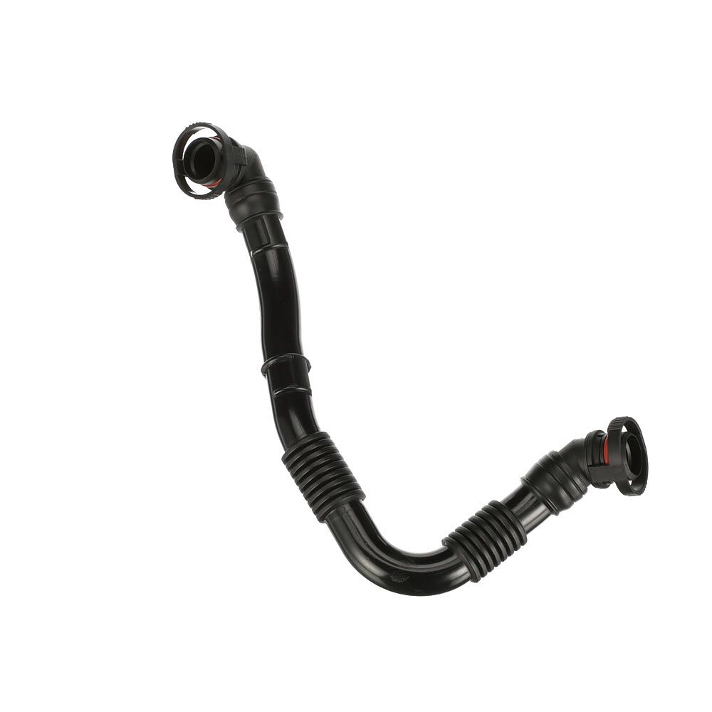 žarna, karterio alsuoklis