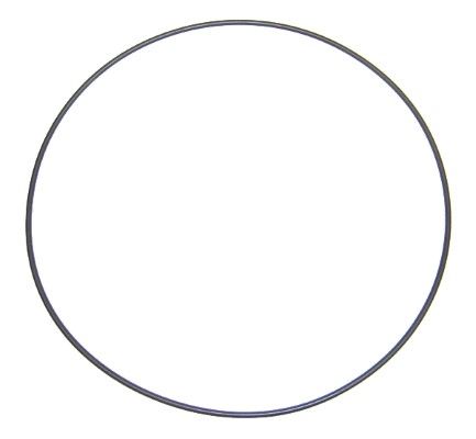Dichtring