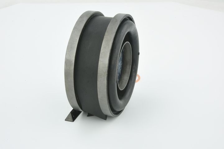 guolis, kardaninio veleno centrinis guolis