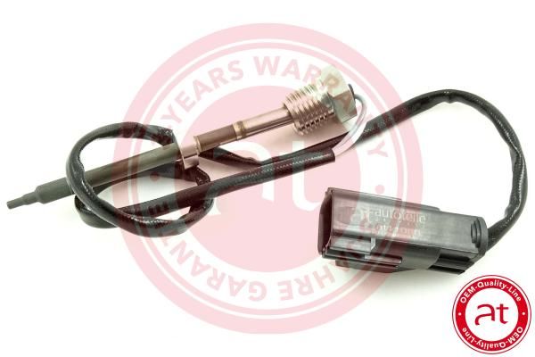 Sensor, Abgastemperatur