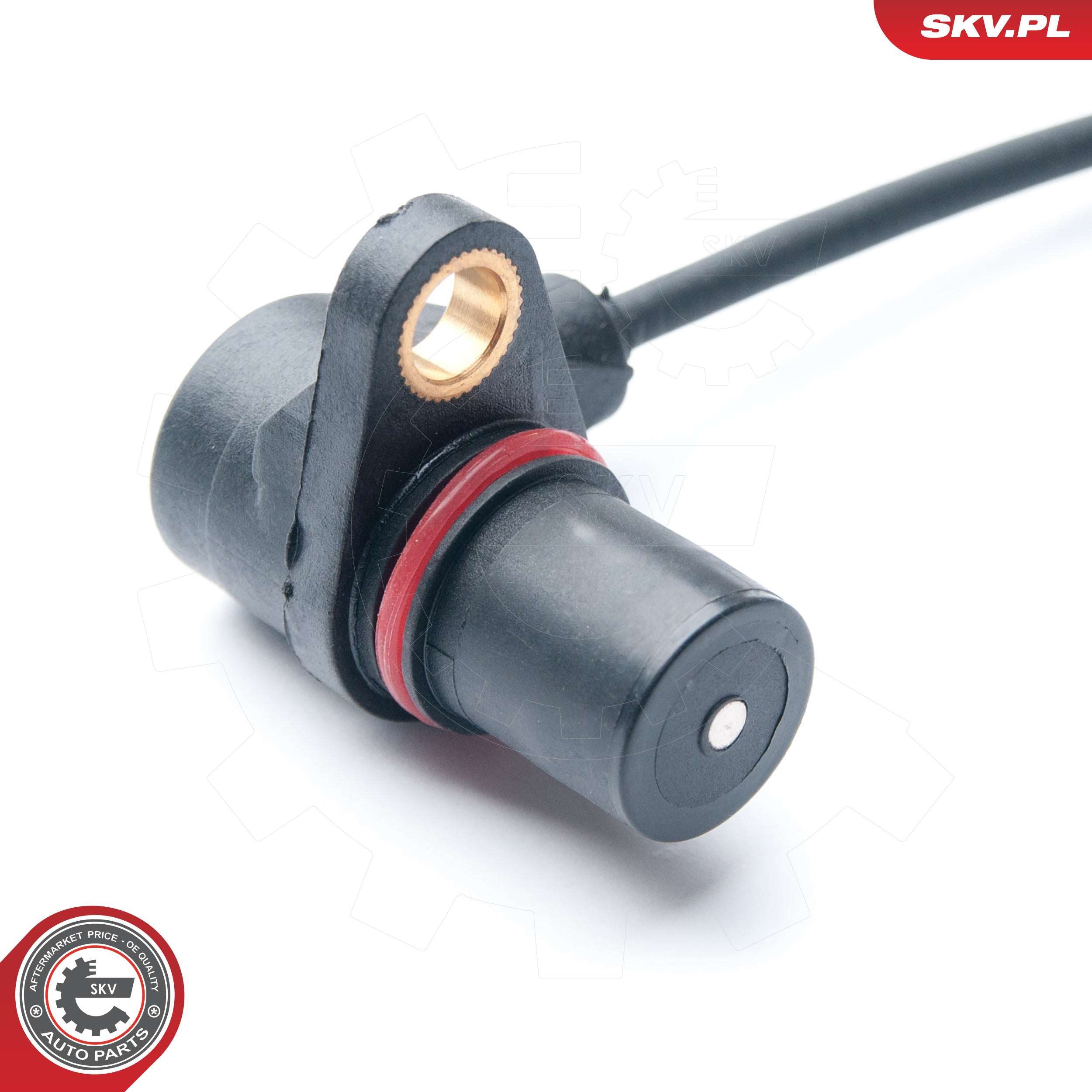 Abbildung des Artikels