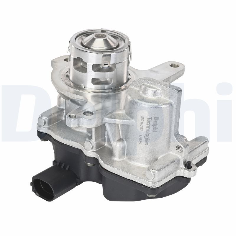 DELPHI EG10752-12B1 - AGR-Ventil