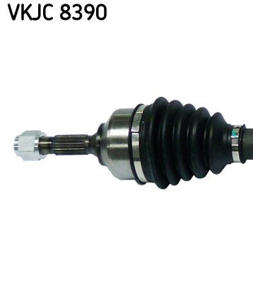 VKJC 8390_2.JPG
