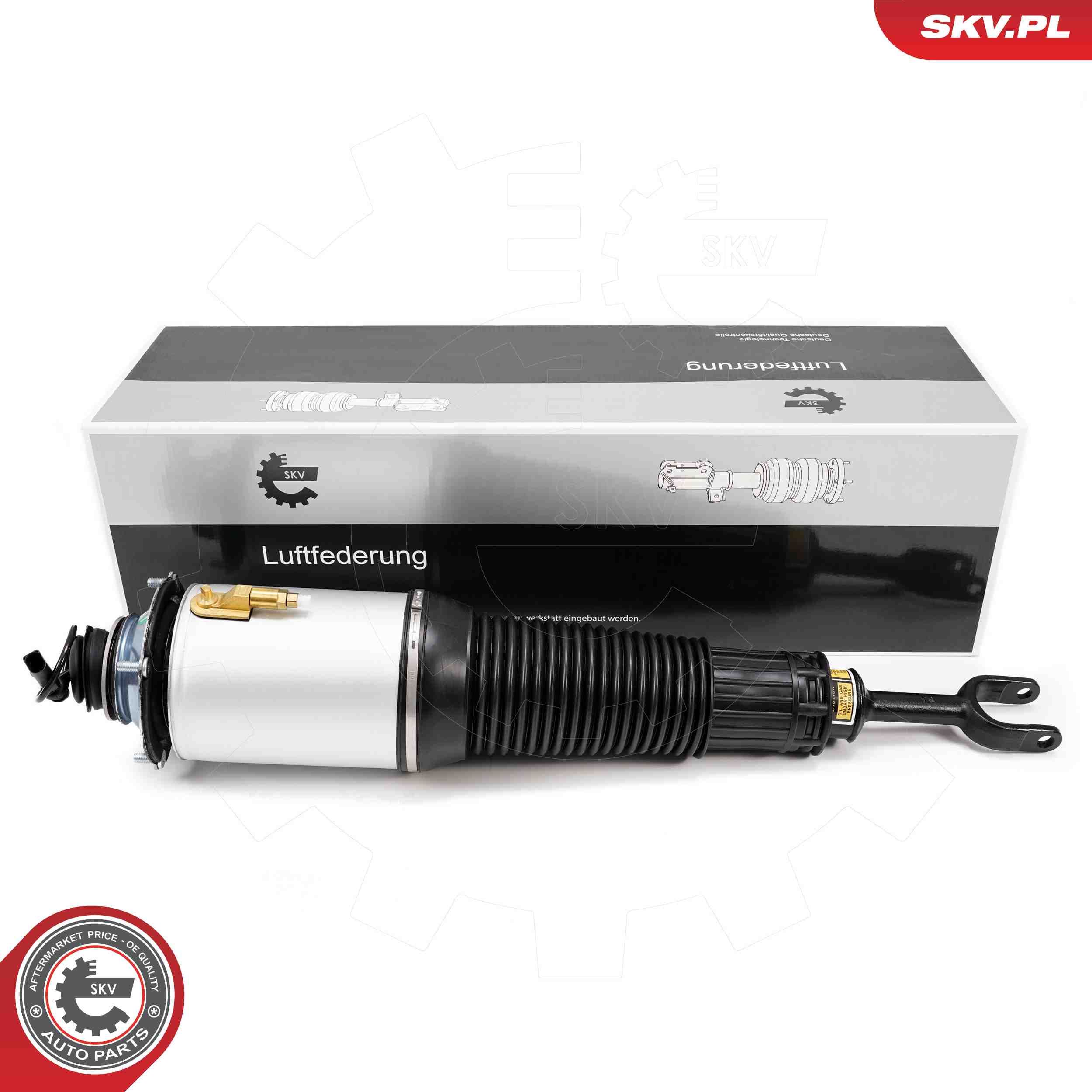 Air Suspension Strut 58SKV701