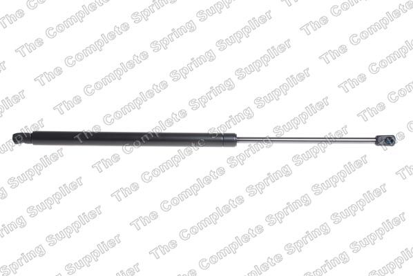 Gasfeder, Koffer-/Laderaum