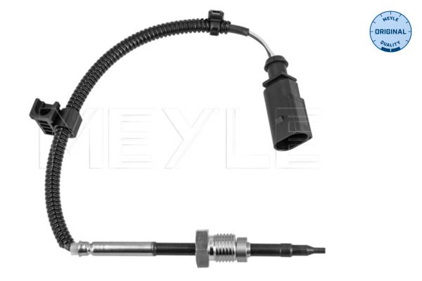 Sensor, Abgastemperatur