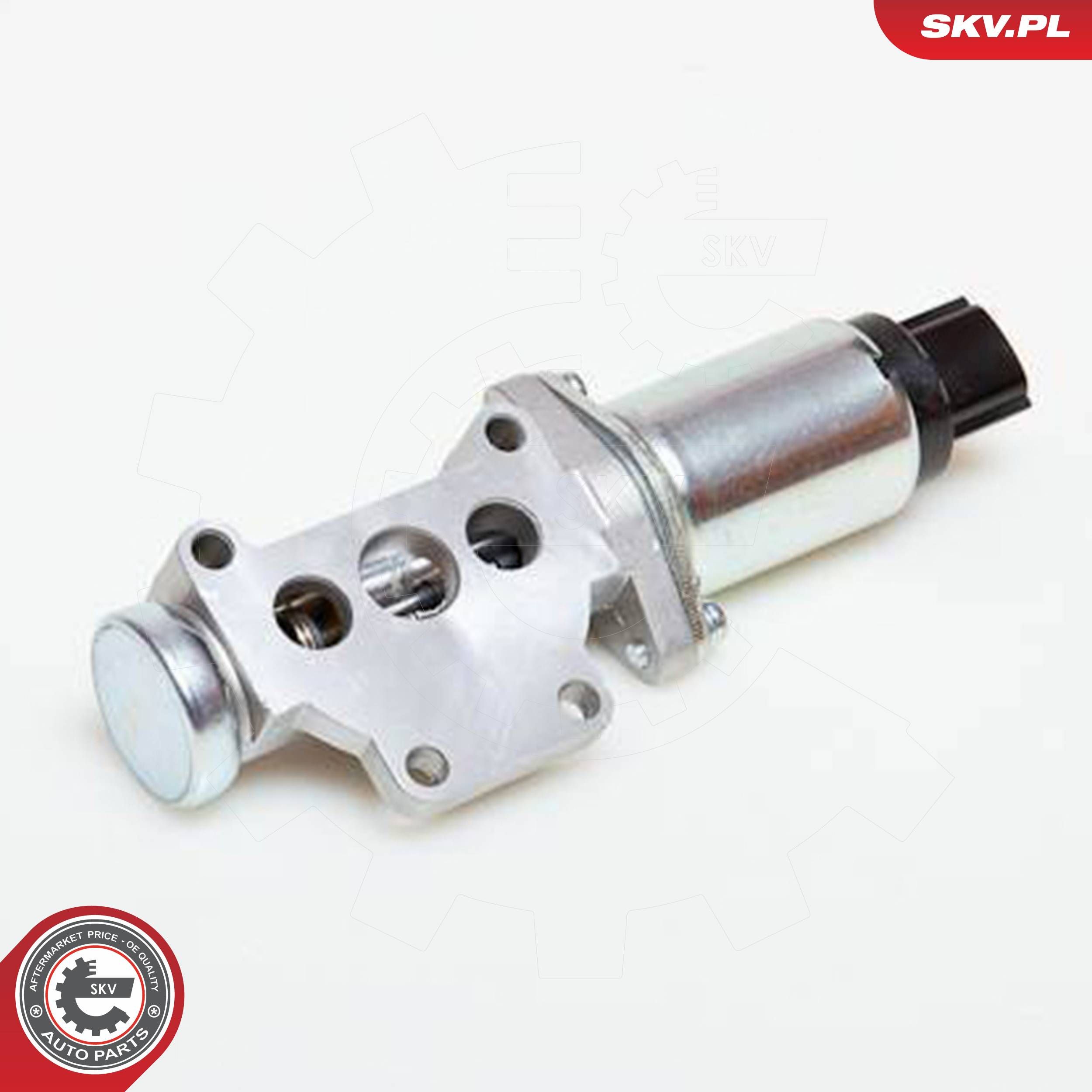 ESEN SKV 08SKV218 - Leerlaufregelventil, Luftversorgung