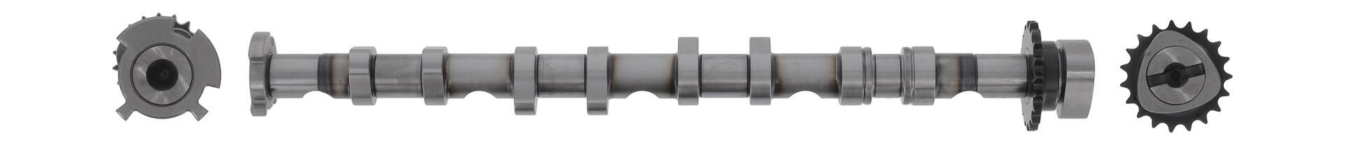 AE CAM981 - Nockenwelle