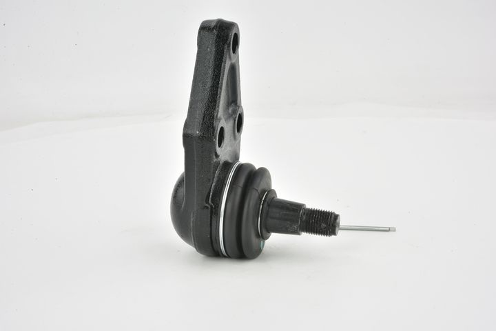 Šarnyras / girgždukas