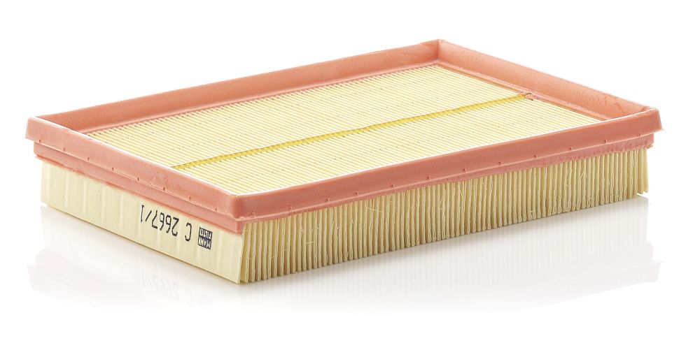 Air Filter C 2667/1