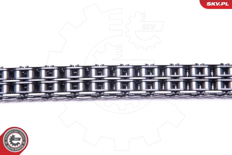 Timing Chain Kit 21SKV200