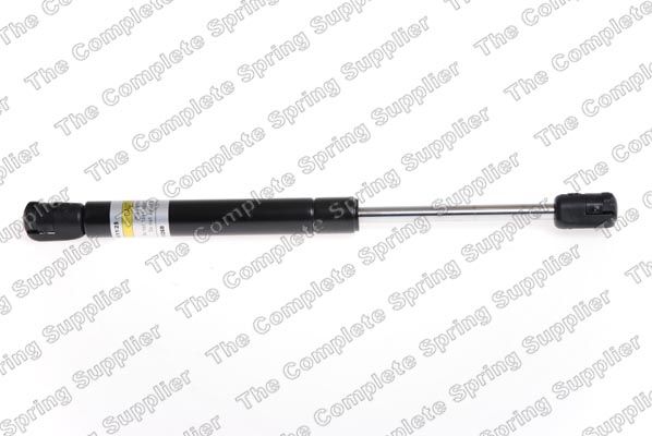 Gasfeder, Koffer-/Laderaum