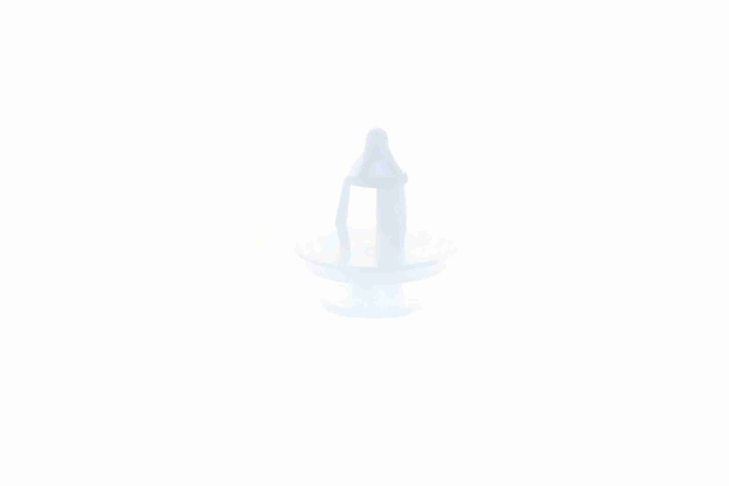 Clip