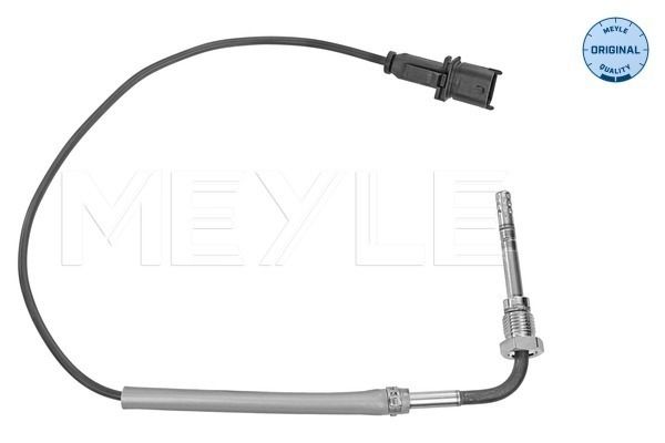 Sensor, Abgastemperatur