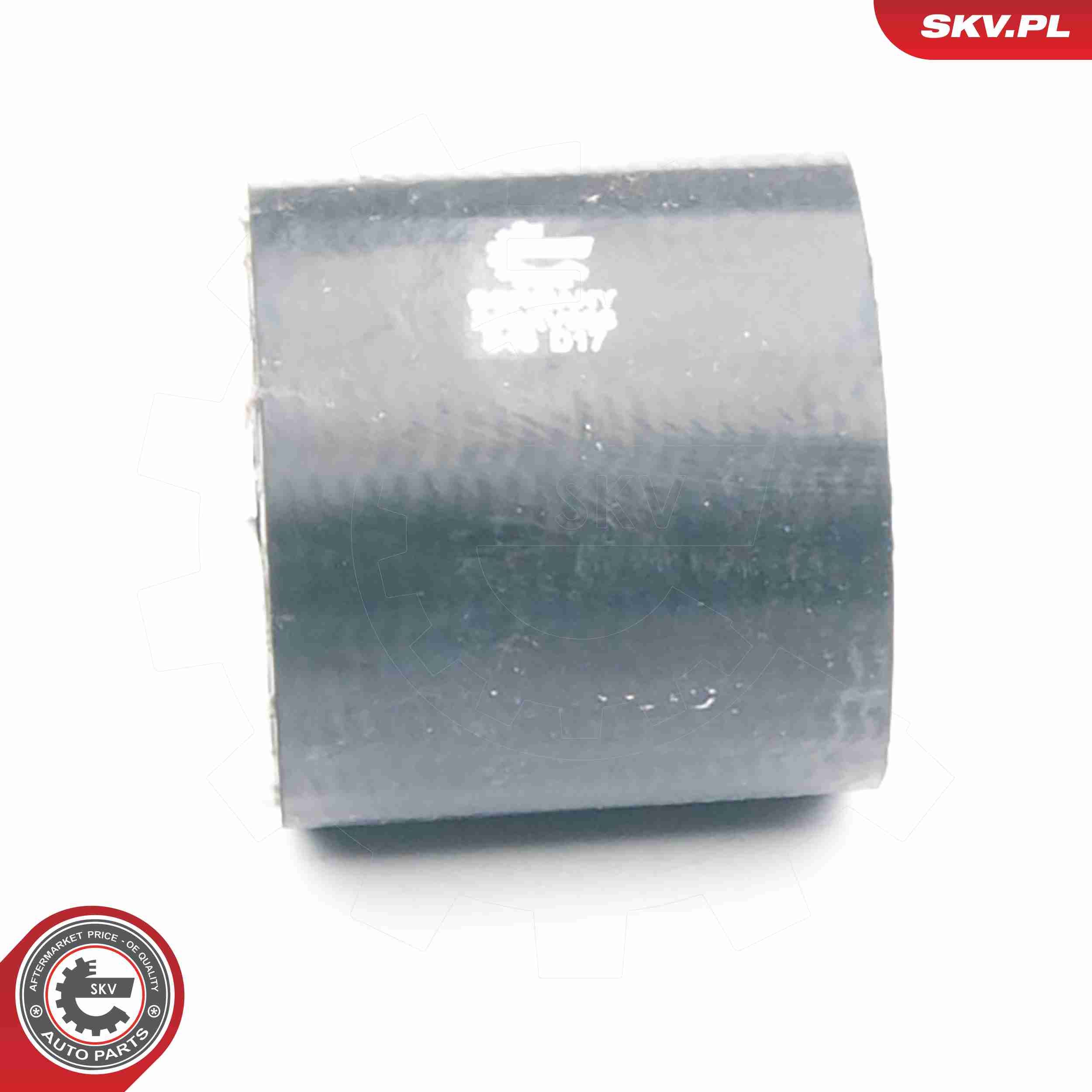 ESEN SKV 24SKV036 - Ladeluftschlauch