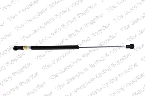 Gasfeder, Koffer-/Laderaum