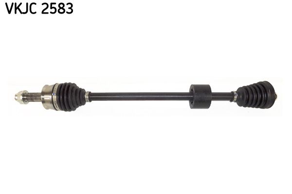 VKJC 2583.JPG