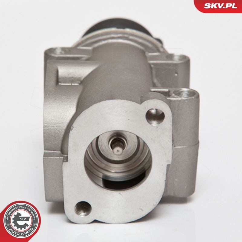 ESEN SKV 14SKV076 - AGR-Ventil