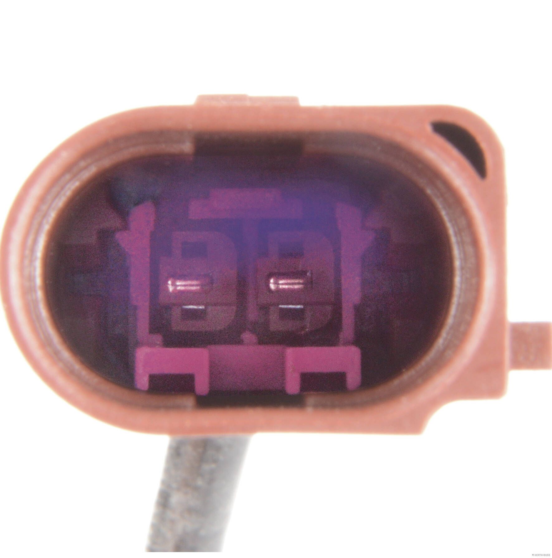 Sensor, Abgastemperatur Sensor, Abgastemperatur