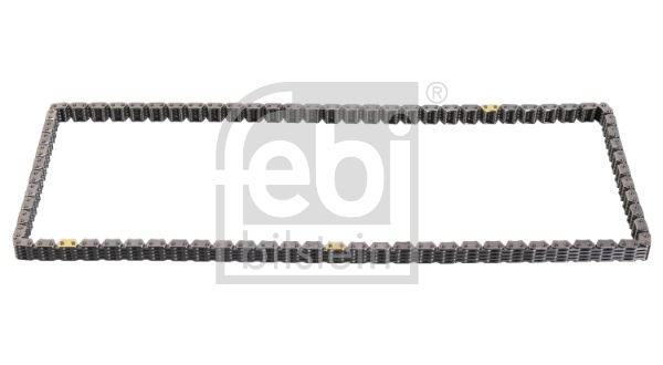 Timing Chain 100629