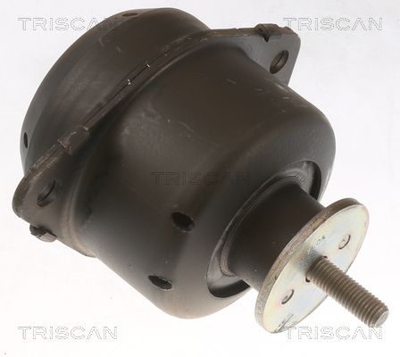 8505 65103 TRISCAN felfüggesztés, motor